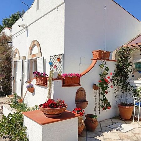 B&B Le Vele Maruggio Exterior foto