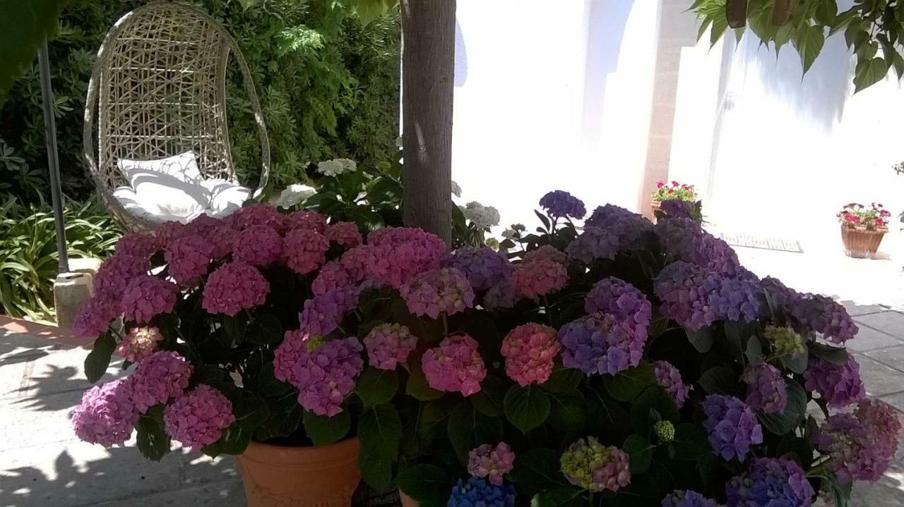 B&B Le Vele Maruggio Exterior foto
